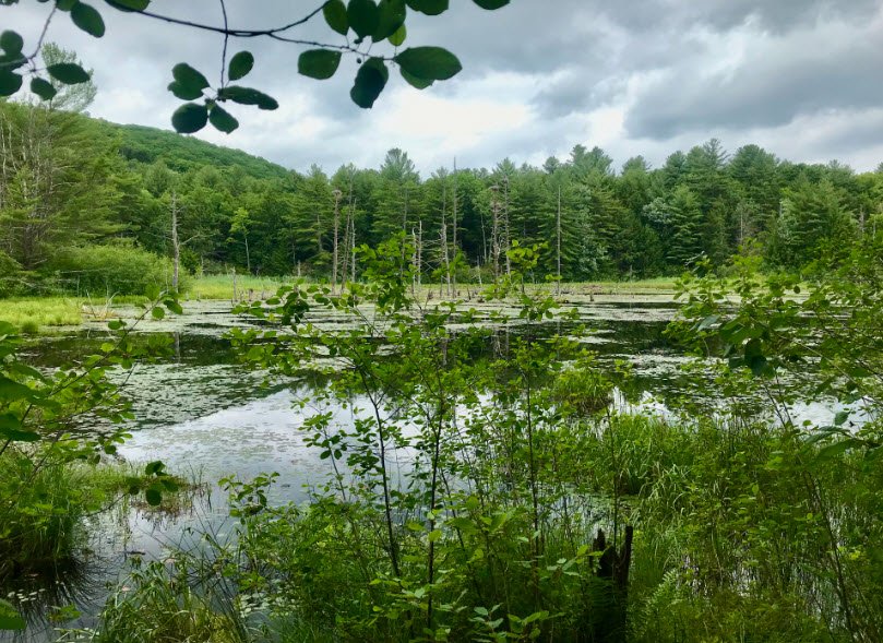 Sunnybrook State Park, Connecticut, USA